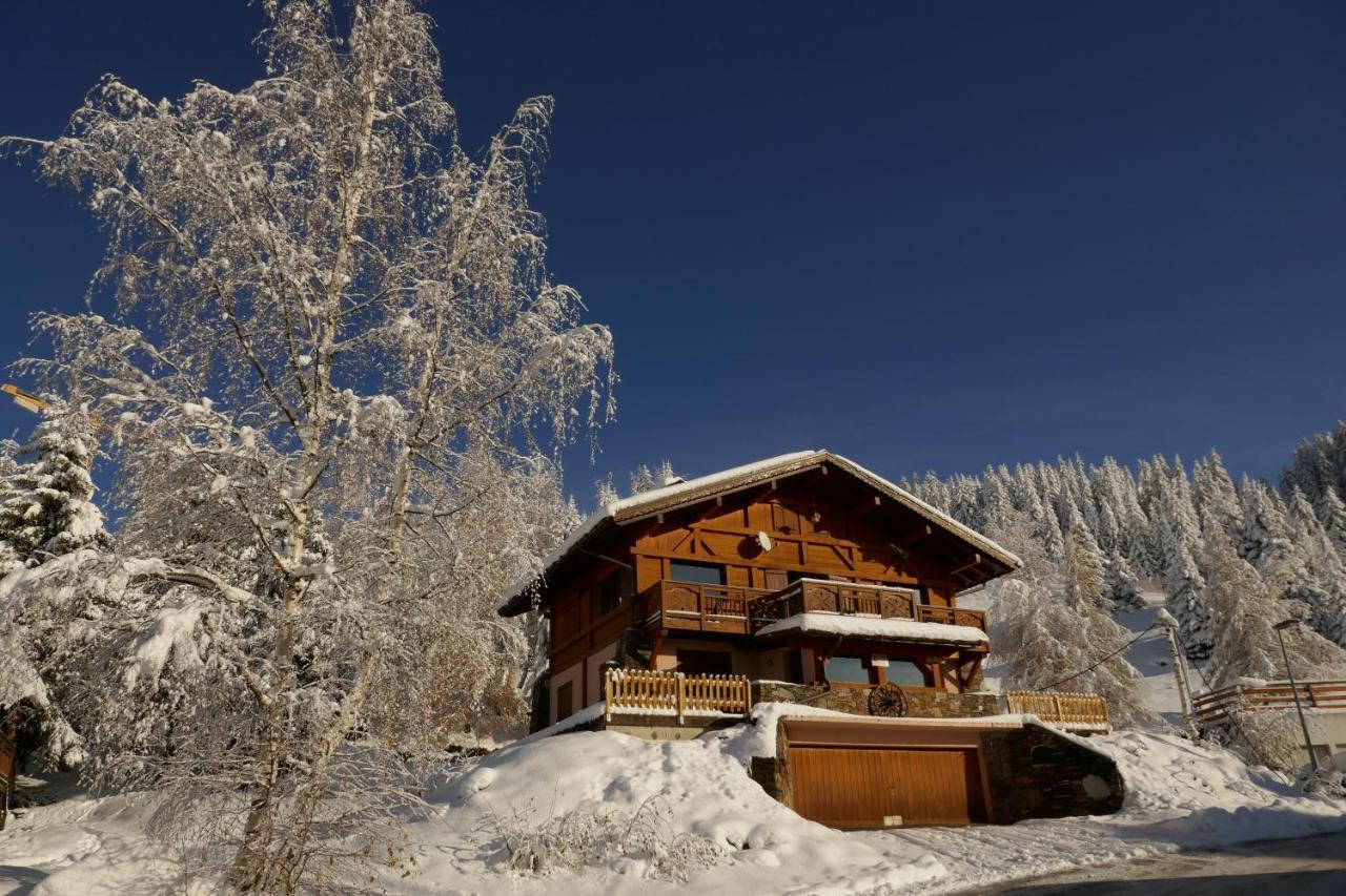 Les Saisies Cote Bisanne Appartement Dans Chalet Le Nepal Экстерьер фото